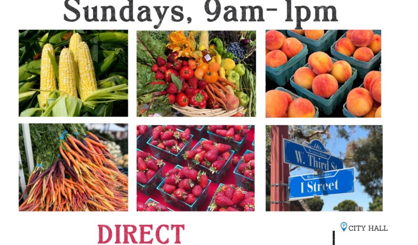 OPENS JUNE 22 Antioch Farmers Market Rivertown Sundays, 9am-1pm DIRECT FROM 25 FAMILY FARMERS