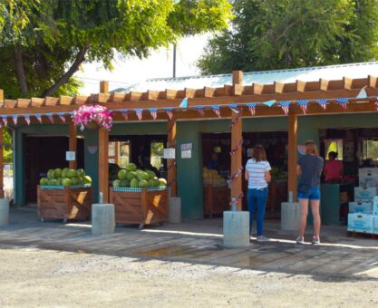 front of farm stand