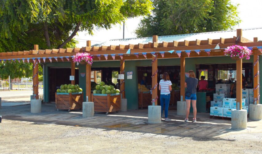 front of farm stand