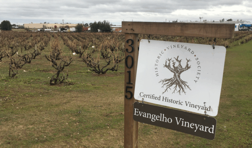 Evangelho Vineyard Sign