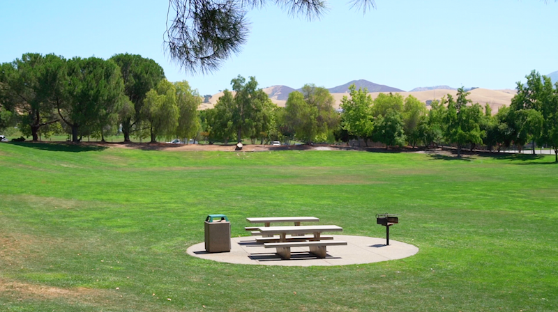 PIcnic bench on grassy knoll