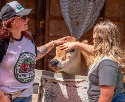 Girl petting a cow