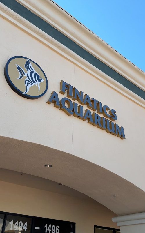Finatics Aquarium store front sign