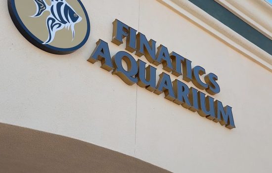 Finatics Aquarium store front sign