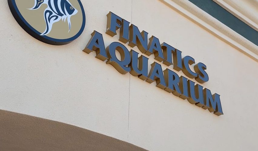 Finatics Aquarium store front sign